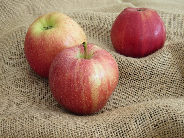 Æblekasser som et kreativt redskab til at engagere børn i natur og dyrkning