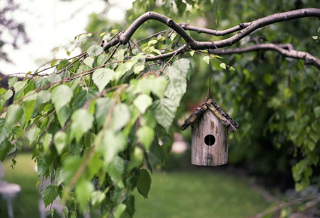 Fuglehusets historie: Fra traditionelle træhuse til moderne design