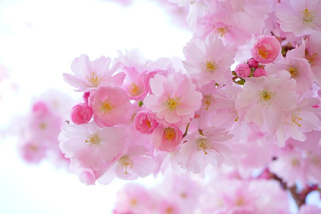 Skab en farverig forårsstemning med Permins blomsterkollektion